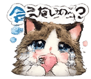 842682953
