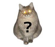 842683148