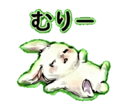 842683211
