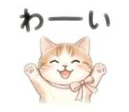 842683244