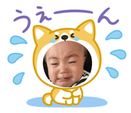 842683378
