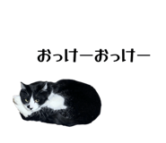 842683493