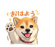 842683826