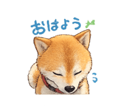 842683827