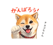 842683832