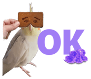 842683883
