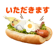 842683889