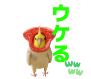 842683895