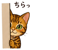 842684061
