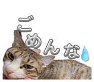 842684477