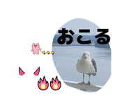 842684570