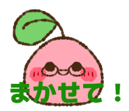 842684614
