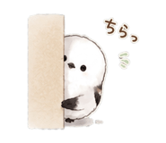 842684650