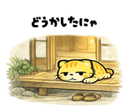842684705