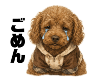 842684734