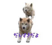 842684960