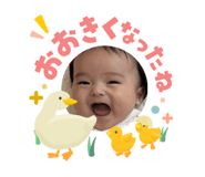 842684973