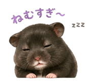 842685131