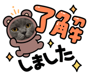 842685189
