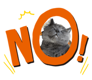 842685195