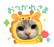 842685199