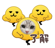 842685221