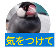 842685368