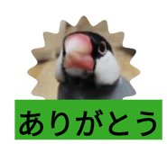 842685369