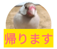842685372