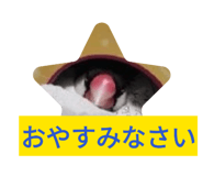 842685376