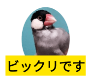842685382