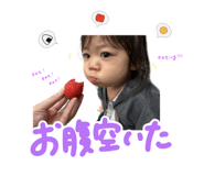 842685462