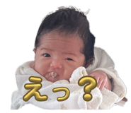 842685558