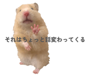 842685562