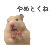 842685575