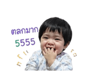 842686045