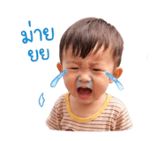 842686067