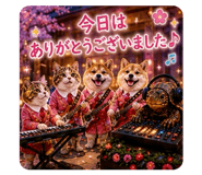 842686260