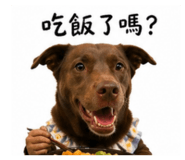 842686558