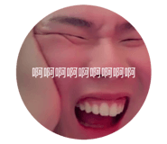 842686587