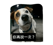 842686614