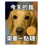 842686662