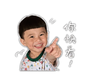 842687082