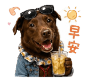 842687142