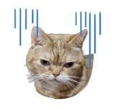 842687637