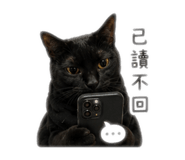 842688154