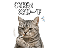 842688305
