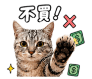 842688310