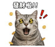 842688313
