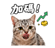 842688315